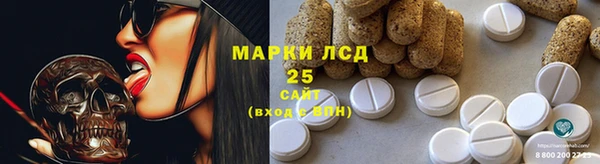 PSILOCYBIN Армянск