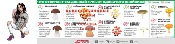 PSILOCYBIN Армянск