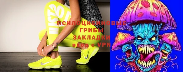 PSILOCYBIN Армянск